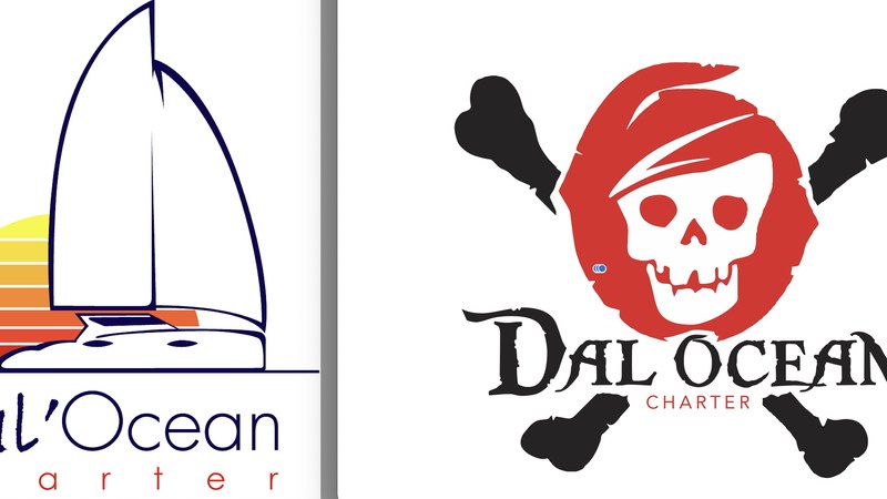DalOcean Charter - TAXIBOAT - CATAMARAN observation BALEINES - (sortie ilot Signal, Laregnere, Amédée)