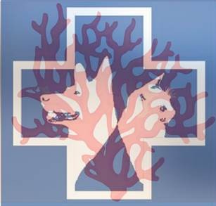 Clinique Vétérinaire du Corail PK7